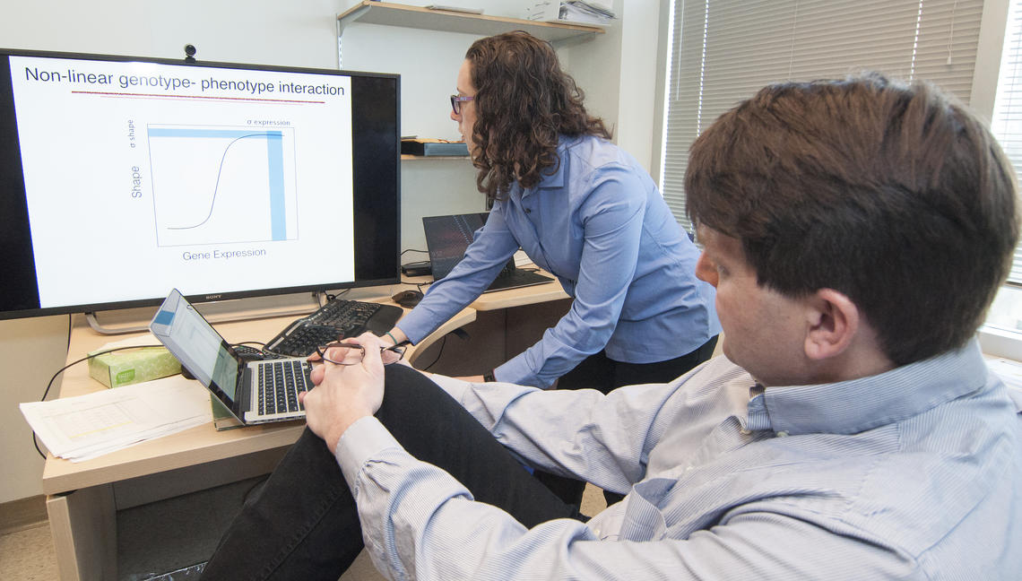 Cumming School of Medicine researchers Benedikt Hallgrimsson and Rebecca Green examine the relationship between gene mutations (genotype) and how they present in people (phenotype) to help better predict disease.