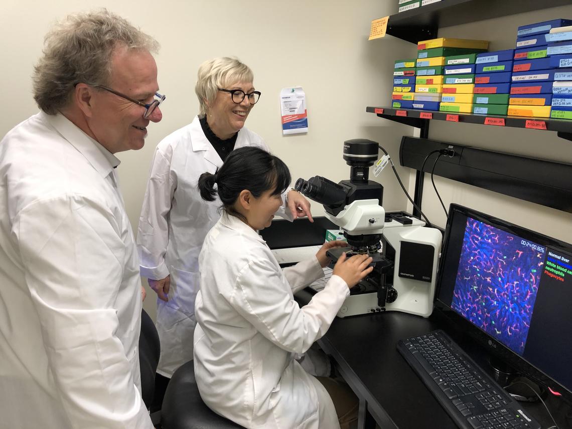 Researchers in lab looking at microscope