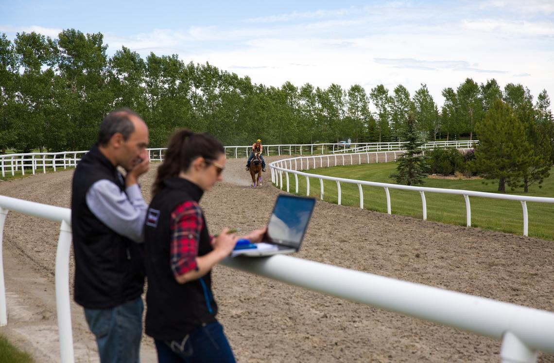 Horse galloping while wearing a mask capable of measuring lung capacity and oxygen uptake from the air. 