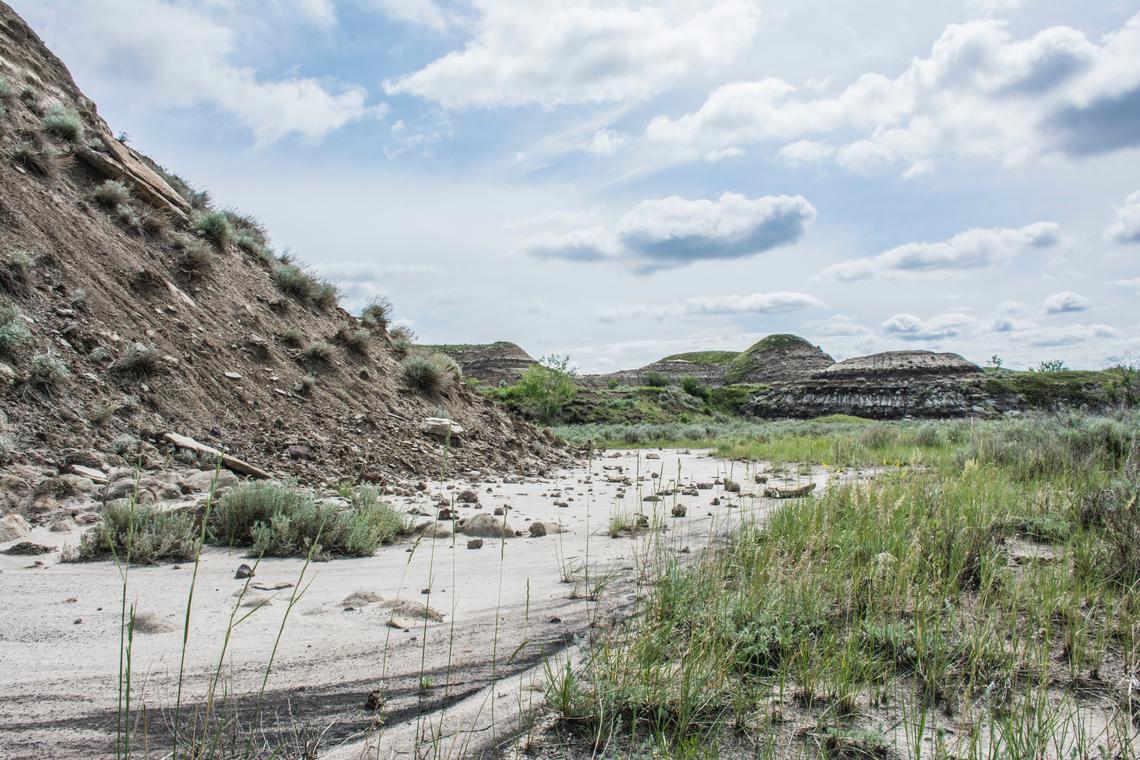 A photo of the badlands in Drumheller