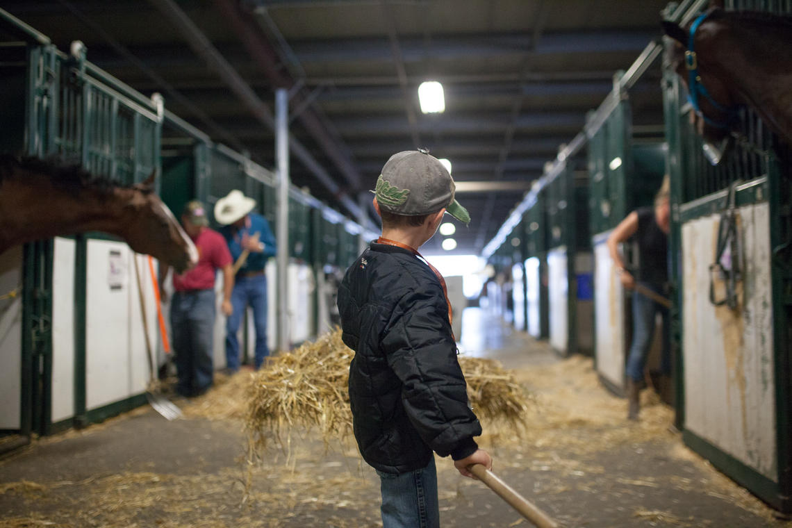 Calgary Stampede barn