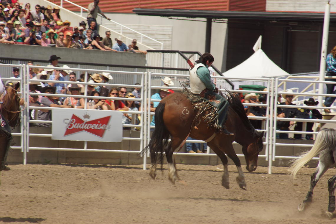 Calgary Stampede