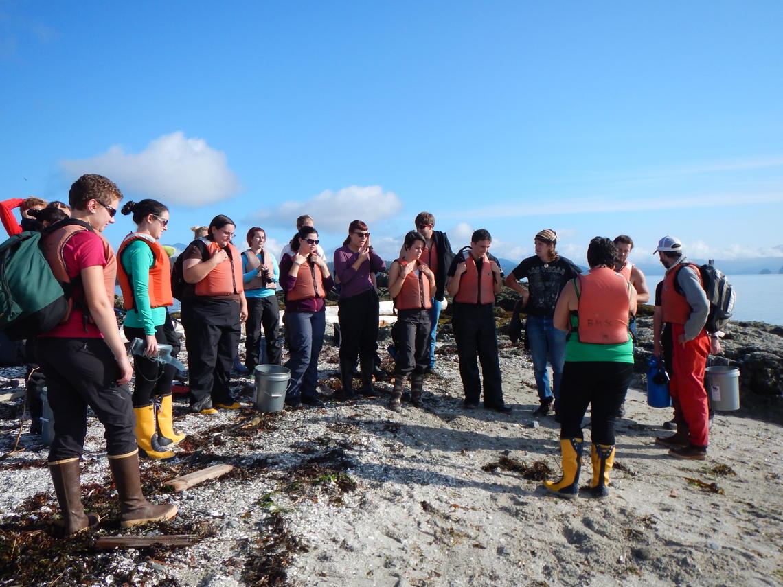 Students doing field research on the beach.