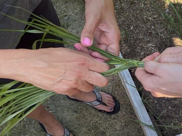 Braiding Sweetgrass