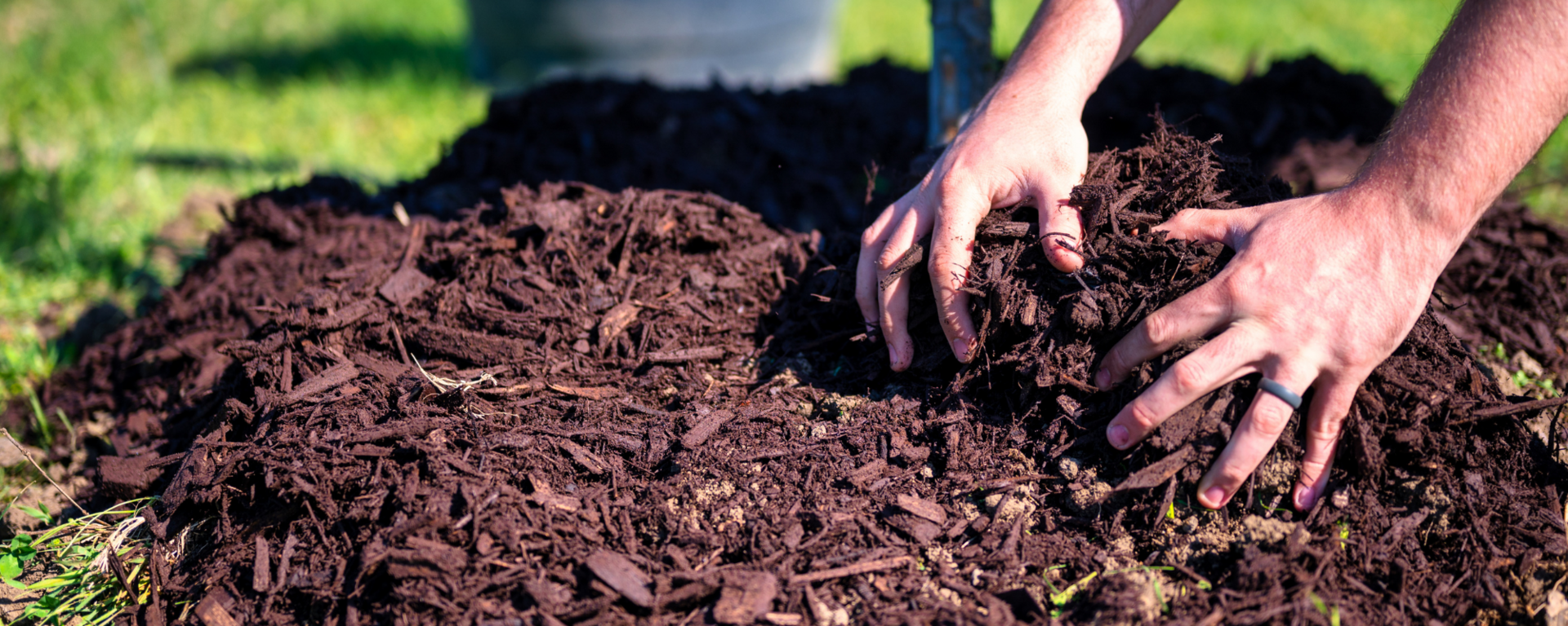A pair of hands sort through dirt in an outdoor environment