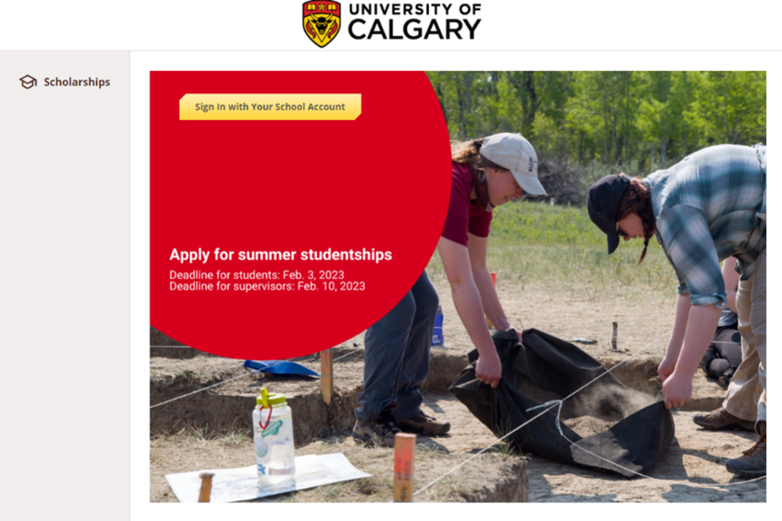 Screenshot of the landing page of the summer studentships application system.
