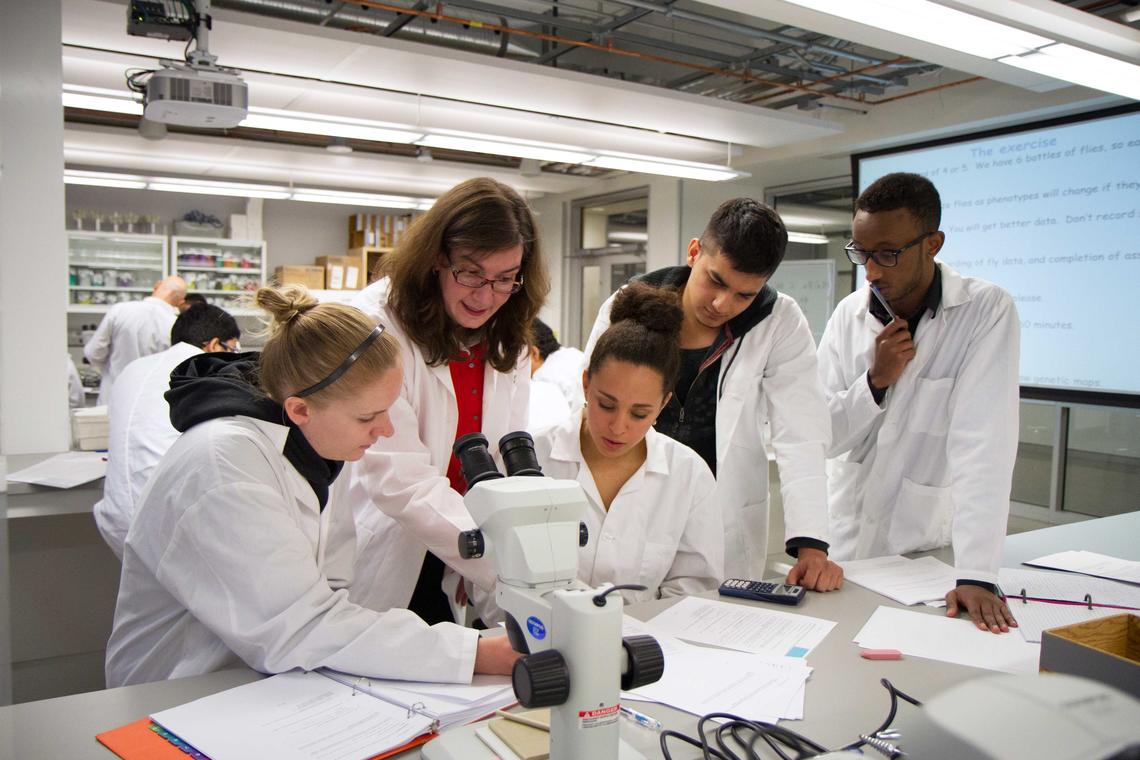 Isabelle Barrette-Ng