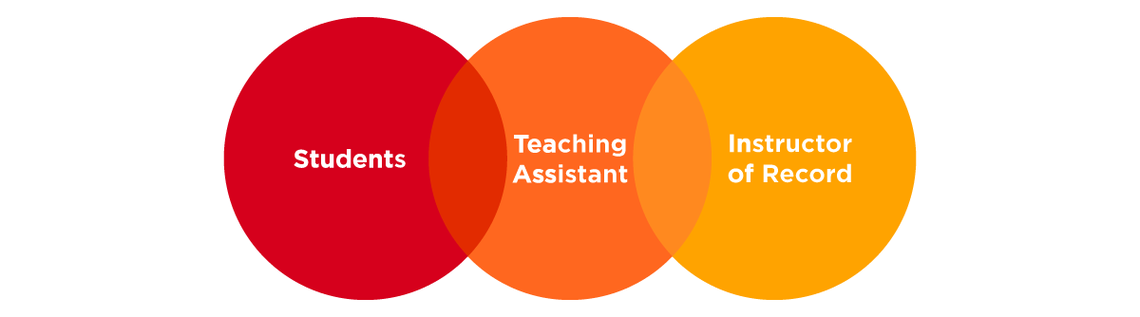 Teaching assistant role