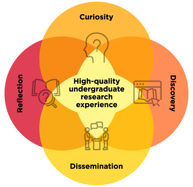 undergraduate research experience