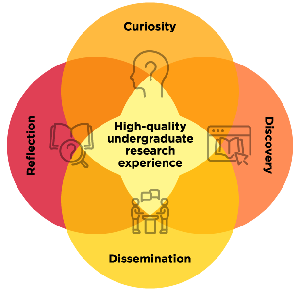 Undergraduate research experience infographic