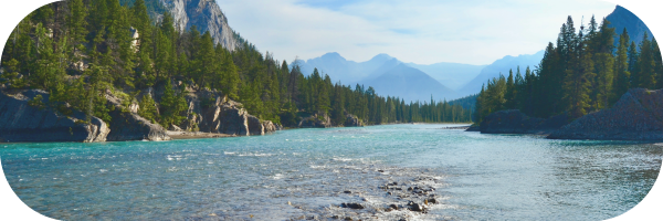 Conserving and restoring freshwater ecosystems River and mountains