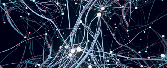networks
