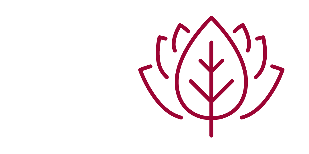 Leaf icon with leaves fanning out behind it.