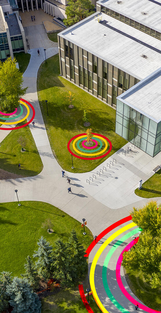 Aerial photo of the Taylor Institute with coloured graphical swirls decorating trees and crosswalks nearby