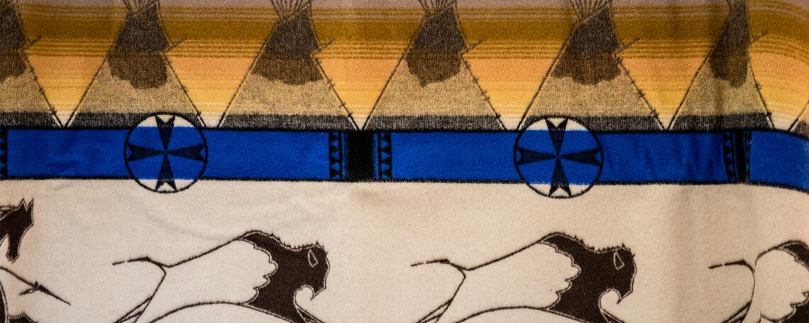 Indigenous Academic Integrity Project image