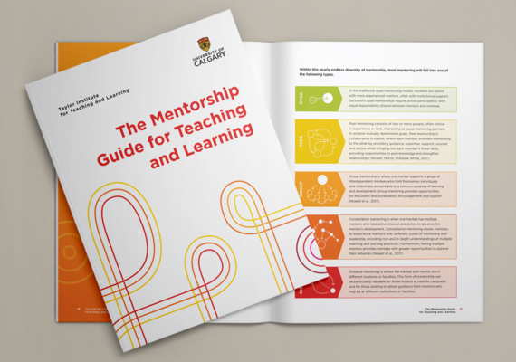 Mentorship guide book