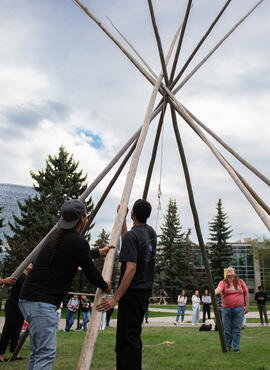 Students and Indigenous community members work together to build a tipi
