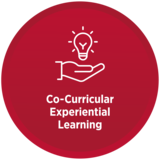 Co-curricular EL (CCEL)