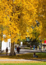 Fall day at UCalgary