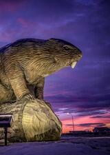 A large beaver statue sits in the town of Beaverlodge. 