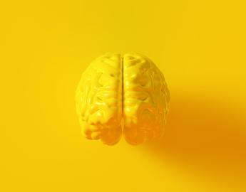 3D Yellow Brain