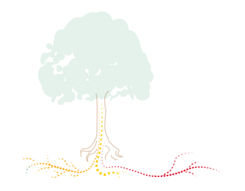 Drawing of a tree and roots