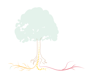 Drawing of a tree and roots