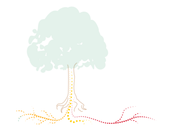 Drawing of a tree with roots