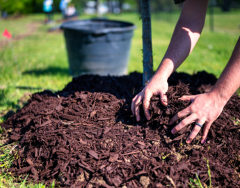 A pair of hands sort through dirt in an outdoor environment